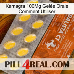 Kamagra 100Mg Gelée Orale Comment Utiliser 42